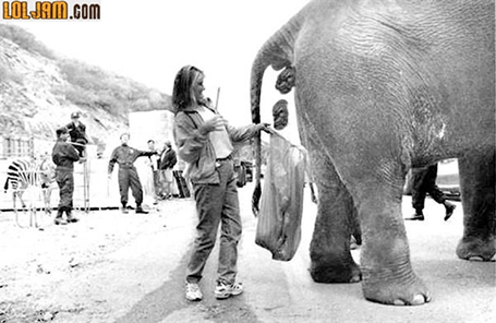 Você acha que o seu trabalho é o pior do mundo? Veja aqui…